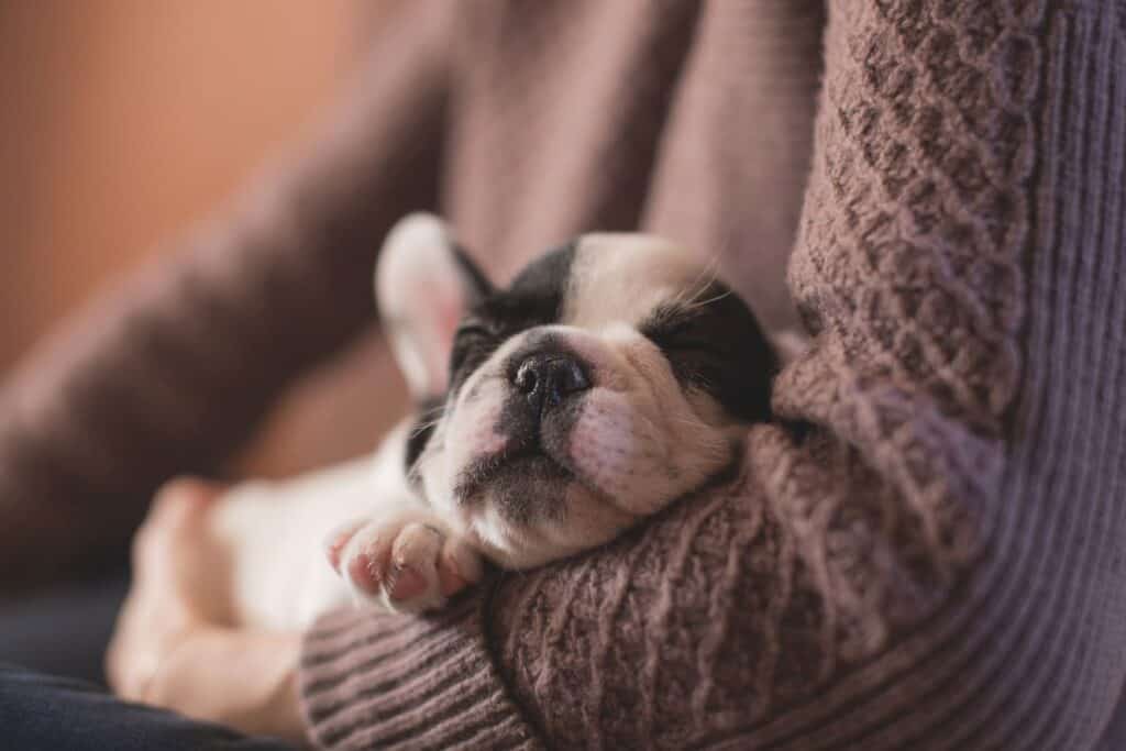 woman cuddling puppy, beat the winter blues